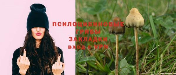 spice Белокуриха