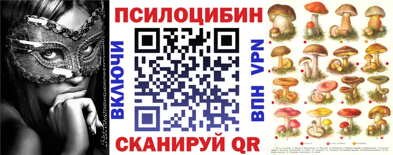 как найти закладки  Городовиковск  ОМГ ОМГ вход  Псилоцибиновые грибы Magic Shrooms 