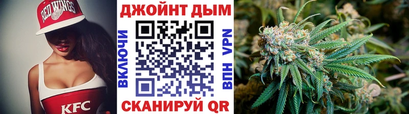 Шишки марихуана сатива как найти закладки Городовиковск